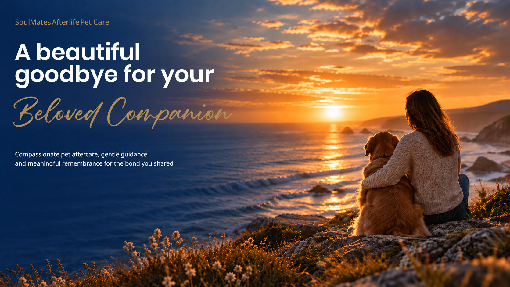 A lifetime of unconditional love Pet parent and dog overlooking the ocean at sunset.